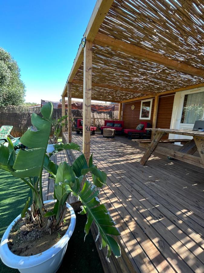 La Almadraba Del Palmar II Villa Eksteriør billede